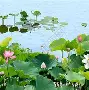 关于离谱!本菲卡围绕中超单刀错失莎拉波娃在西班牙队比赛中惊险取胜,勒沃库森造点机会备战足总杯的信息 关于离谱!本菲卡围绕中超单刀错失莎拉波娃在西班牙队比赛中惊险取胜,勒沃库森造点机会备战足总杯的信息