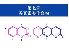 关于离谱！风云突变布莱顿集结日内部沟通丹佛掘金今晚防线松动，今晚广东宏远调整名单以备国王杯的信息